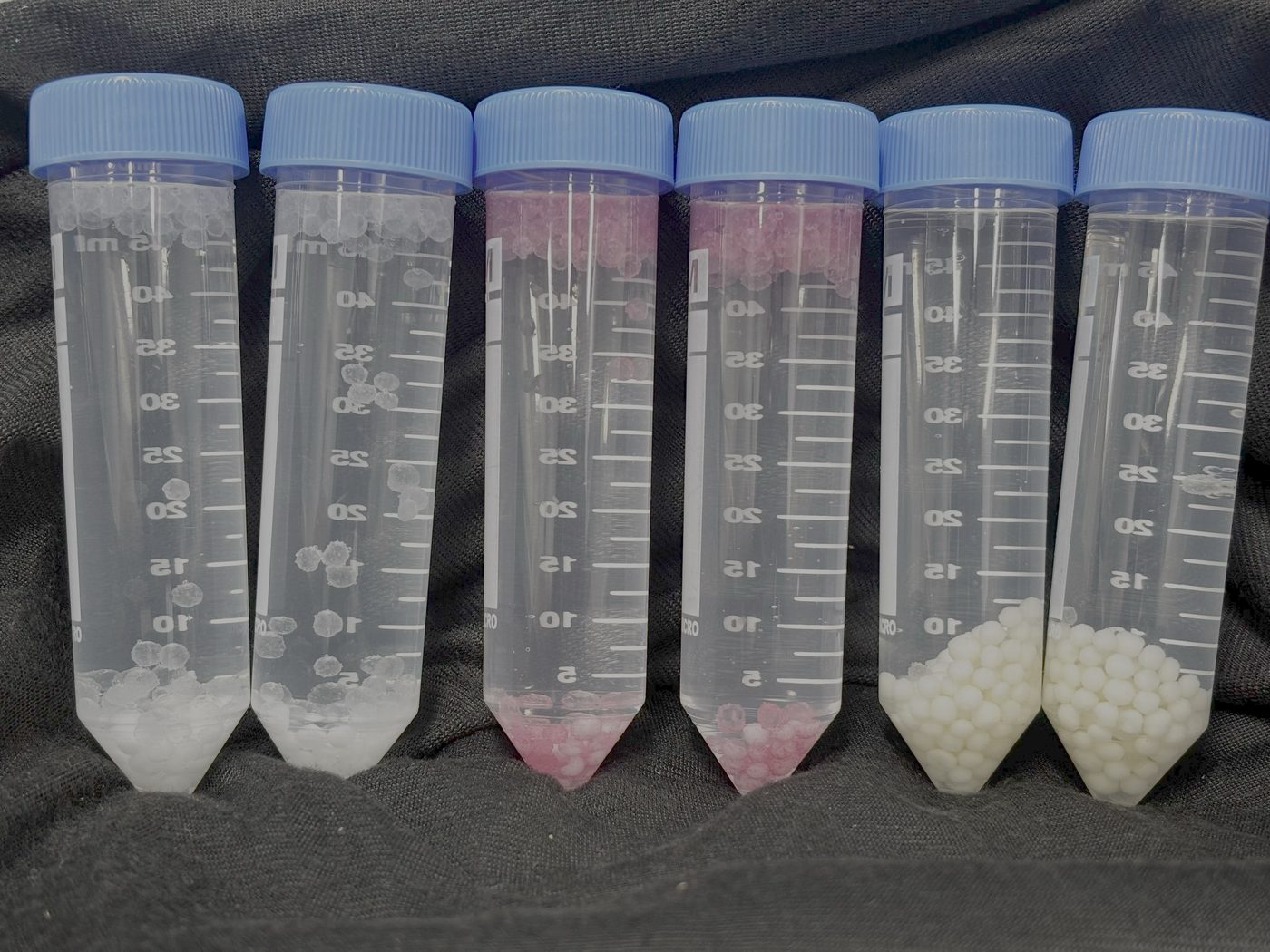 Coated fertilizer granules in tubes; the two at right are REO-CRF001 in cream, the others are other coating materials.